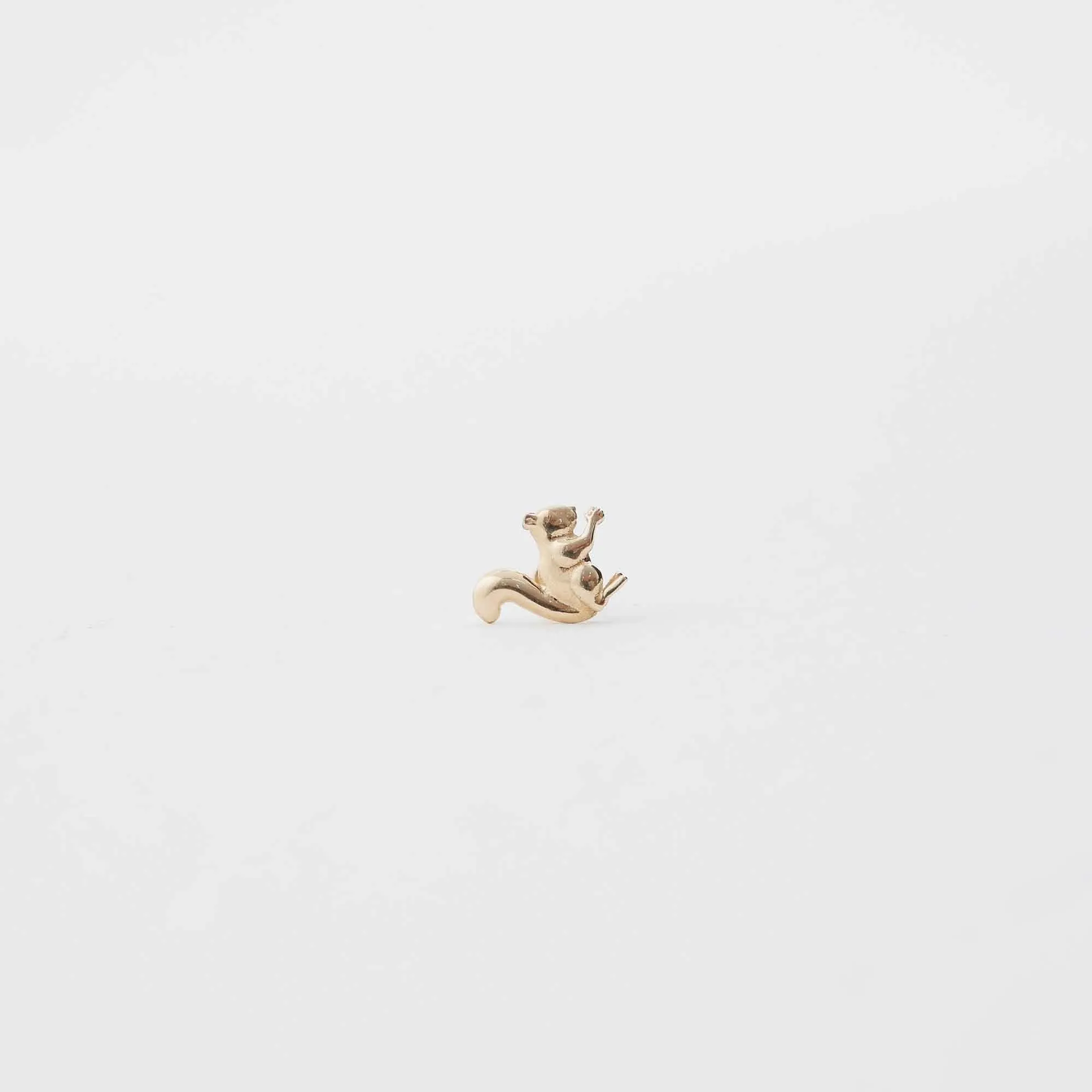 14k Gold Squirrel Tragus Piercing