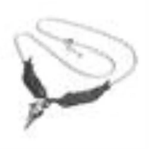 Alchemy Gothic P819  Incrowtation Necklace Raven Skull Wings