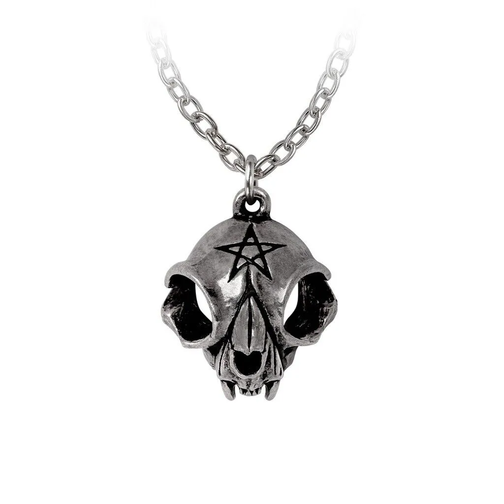 Alchemy Gothic P938- My Forever Friend Necklace Pendant Which Halloween Skull