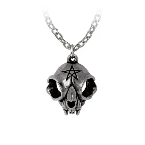 Alchemy Gothic P938- My Forever Friend Necklace Pendant Which Halloween Skull