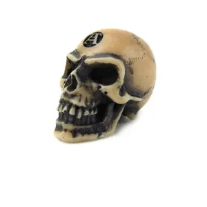 Alchemy Gothic V2  Lapillus Worry Skull