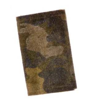 Amy Camo