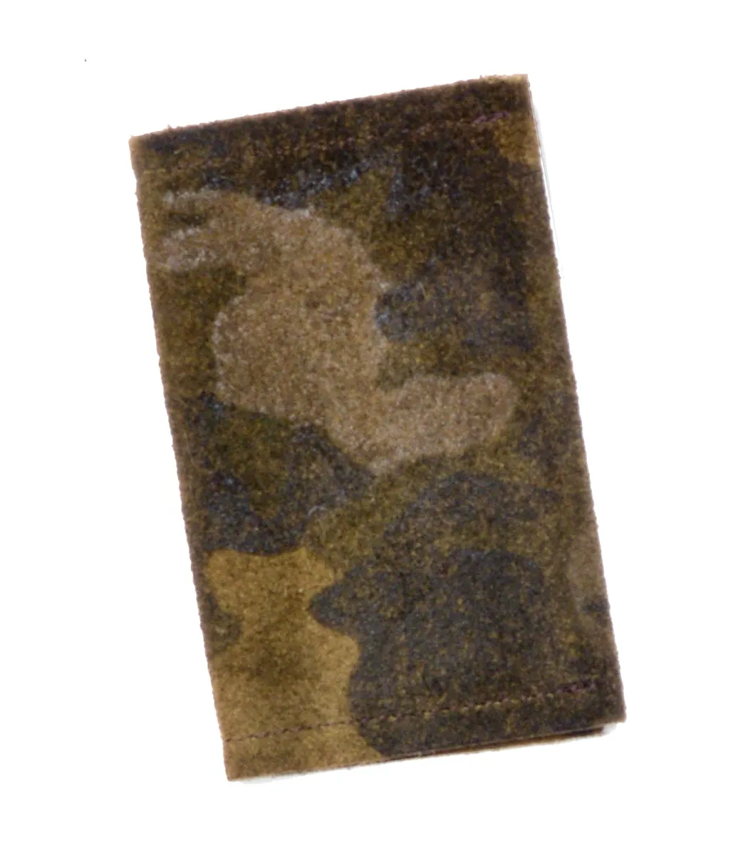 Amy Camo