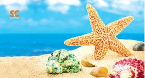 BEACH STAR FISH TOWEL