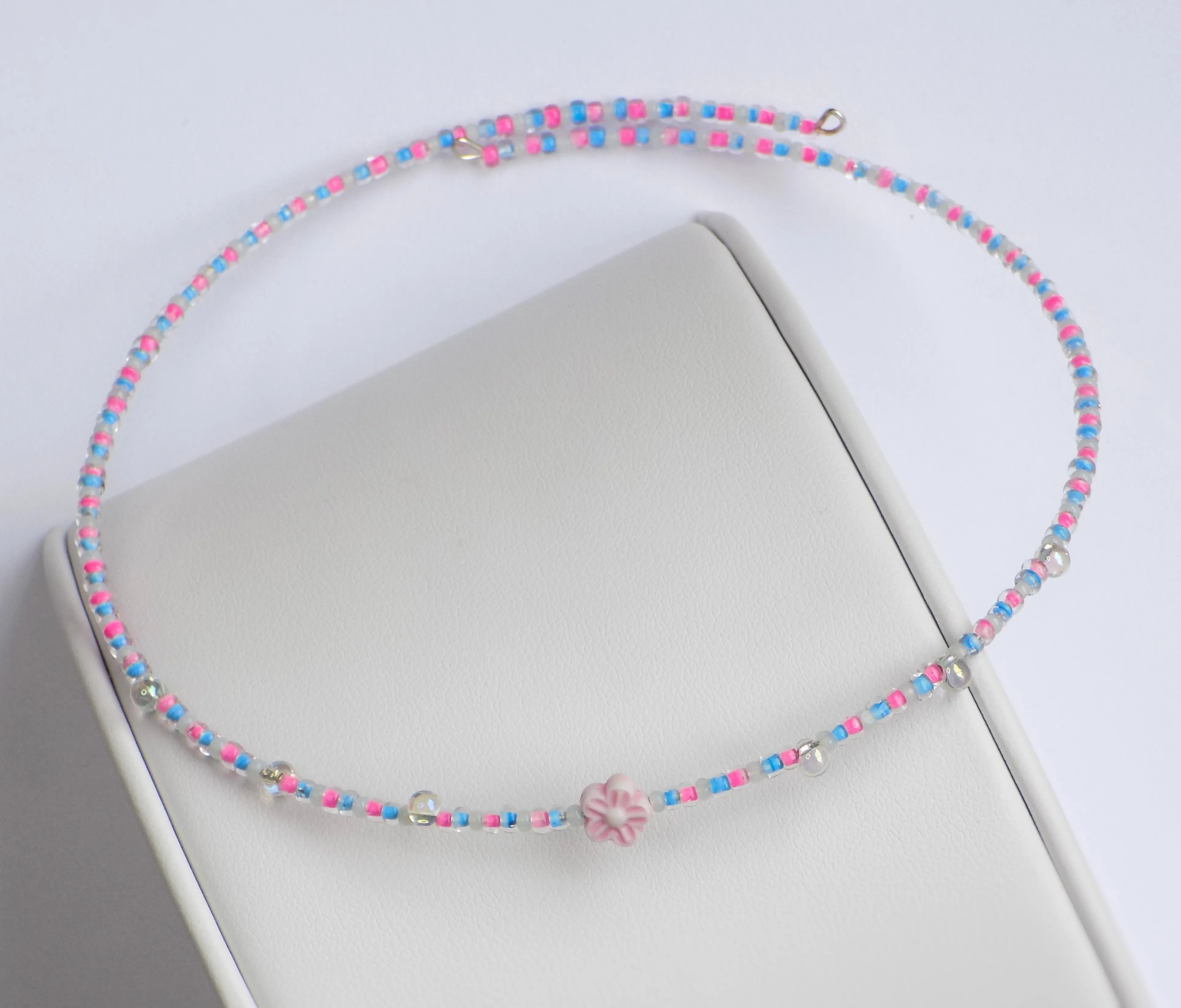 Blue   Pink Daisy