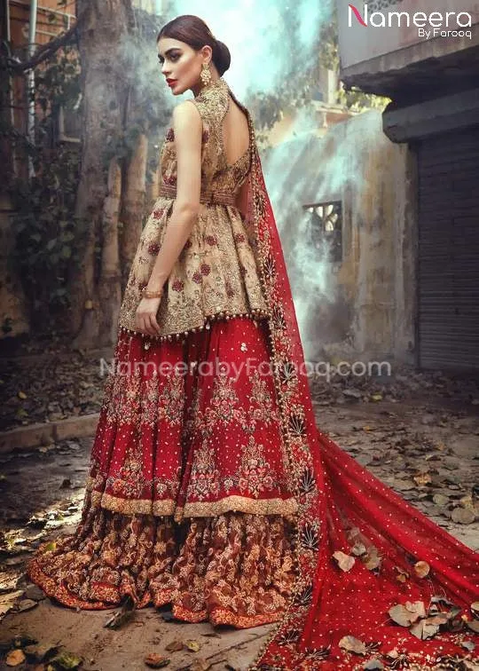 Bridal Lehenga in Red Pakistani Wedding Dress #BS55
