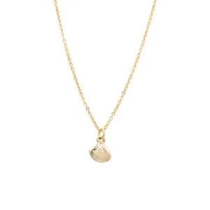 Clam Shell Mini Charm Necklace Beach Ocean Gift Giving