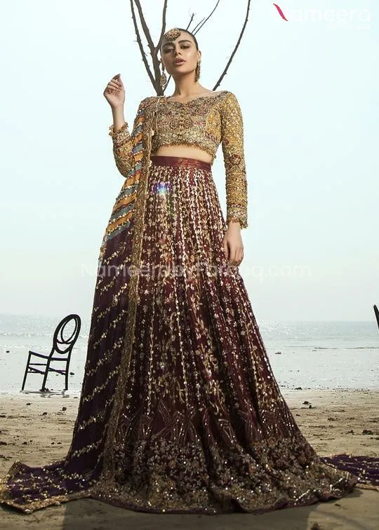 Embroidered Lehenga Choli Pakistani Bridal Dress #BS42