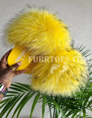 Full yellow fluffy