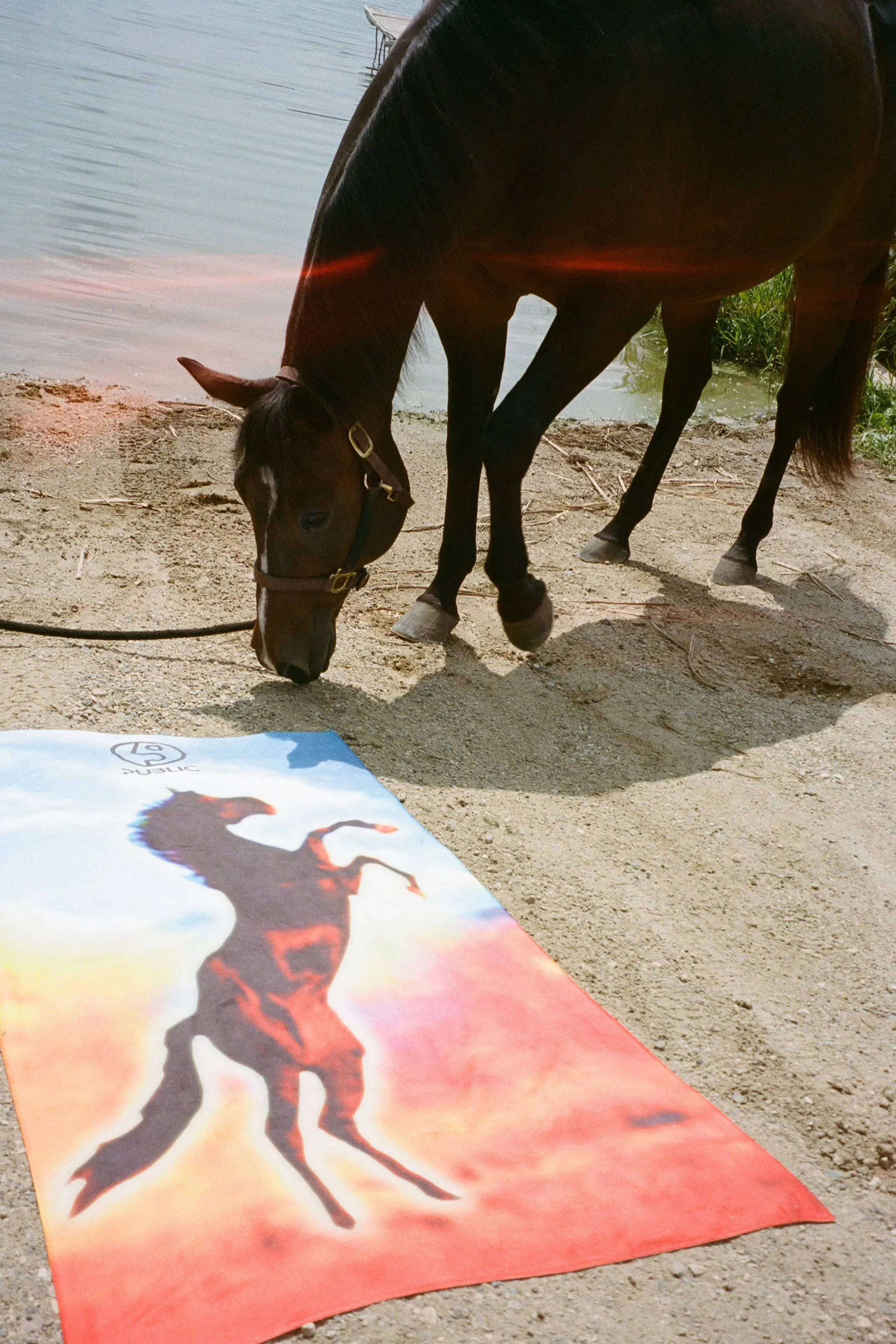 Glory Beach Towel