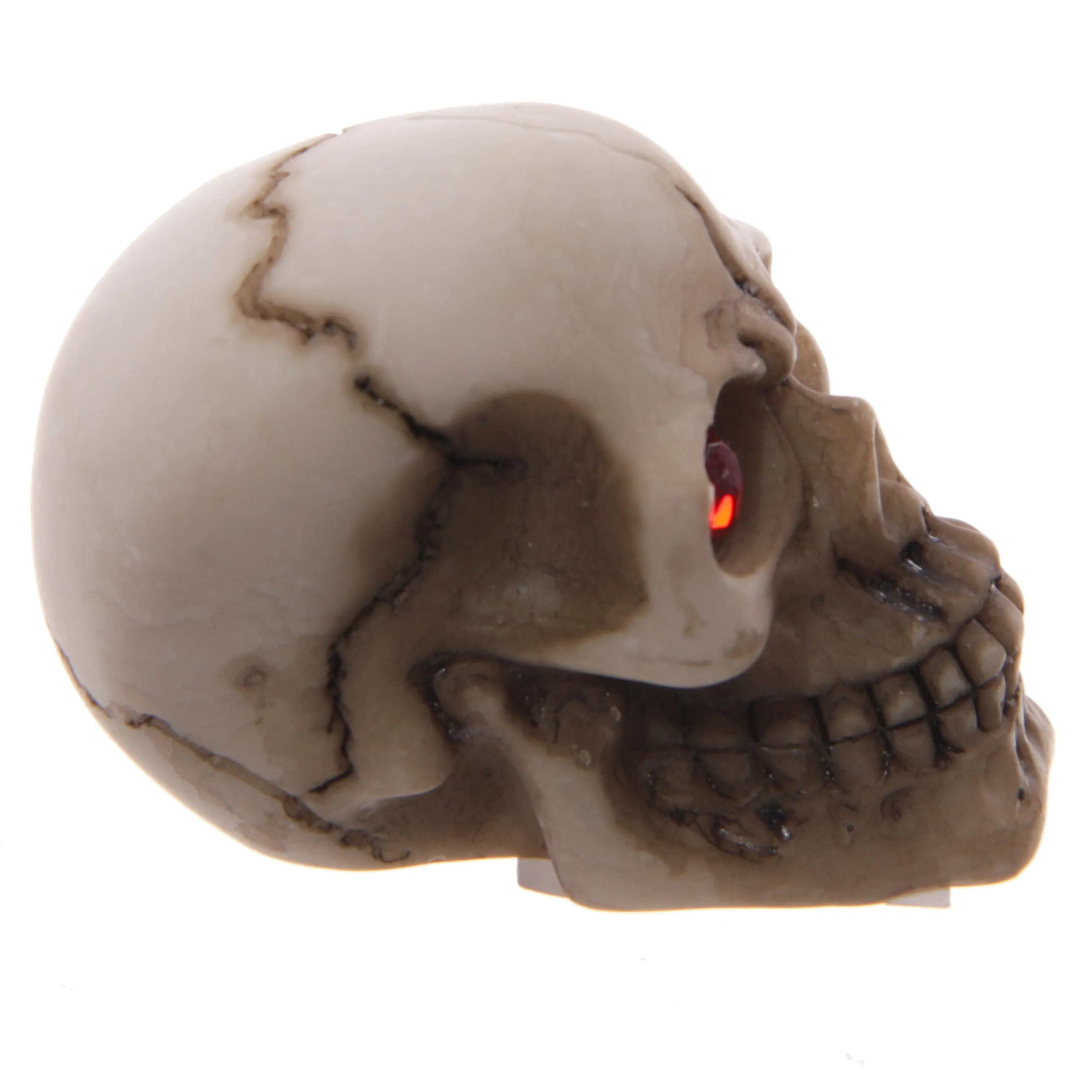 Gruesome Skull with Red Gem Eyes Decoration