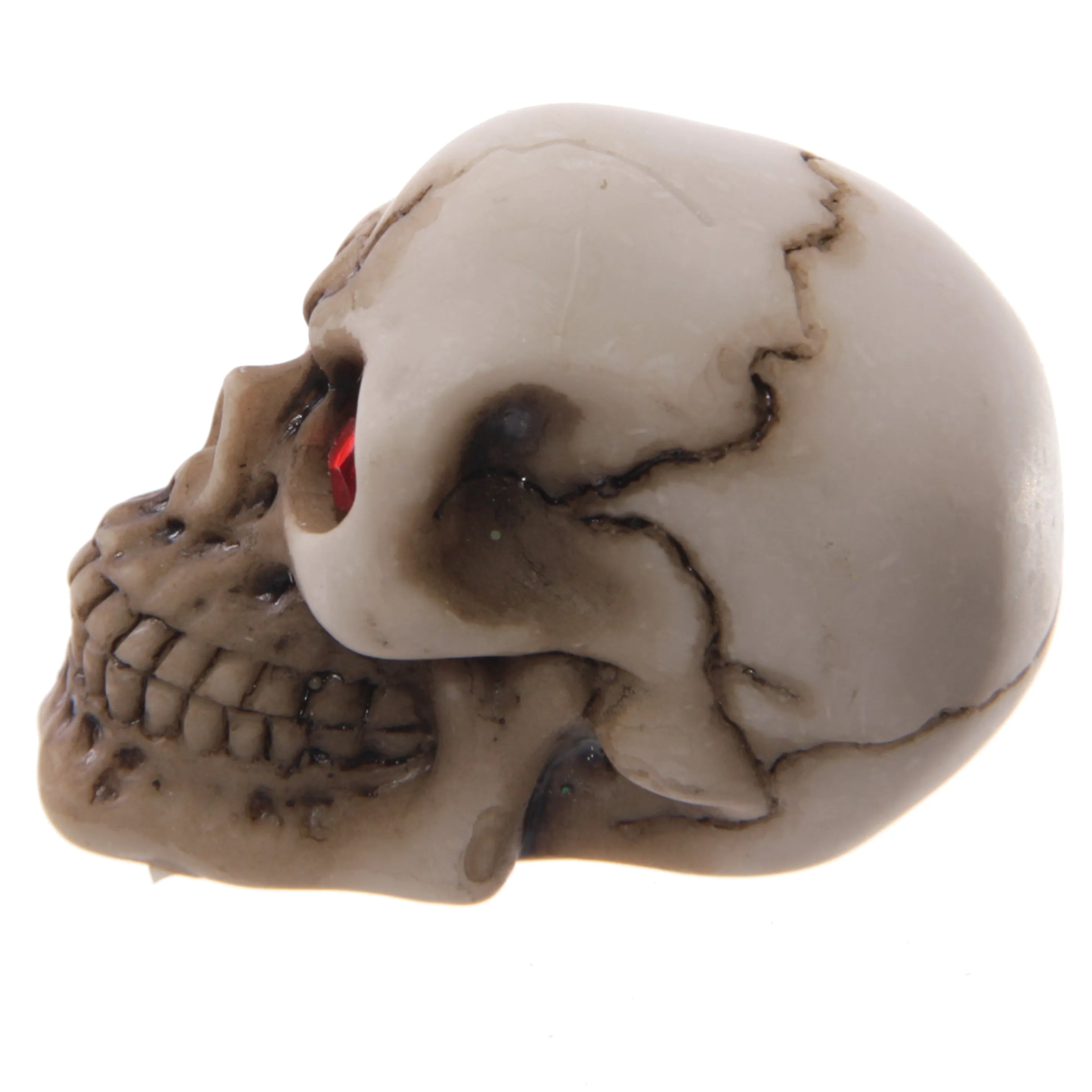 Gruesome Skull with Red Gem Eyes Decoration