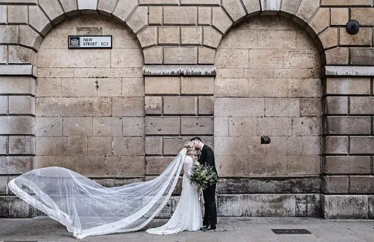 Ivory Tulle Veil #4049