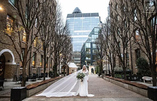 Ivory Tulle Veil #4049