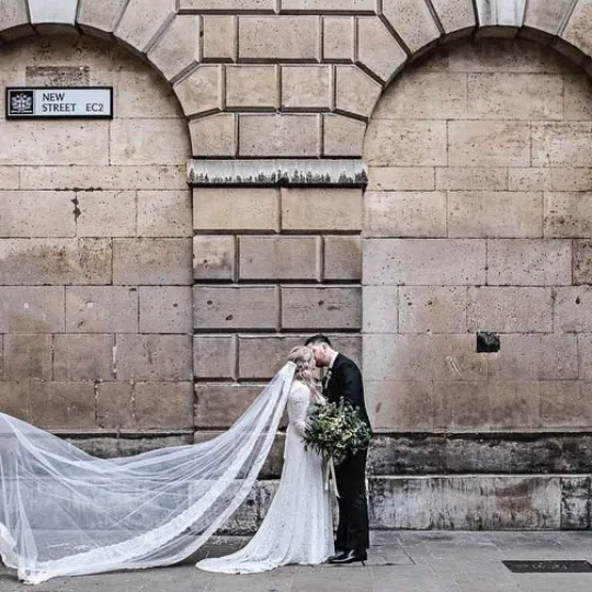 Ivory Tulle Veil #4049