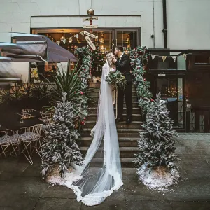 Ivory Tulle Veil #4049