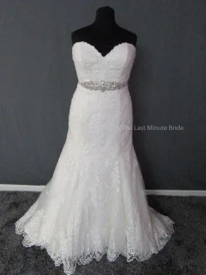 Maggie Sottero Rosamund Size 22