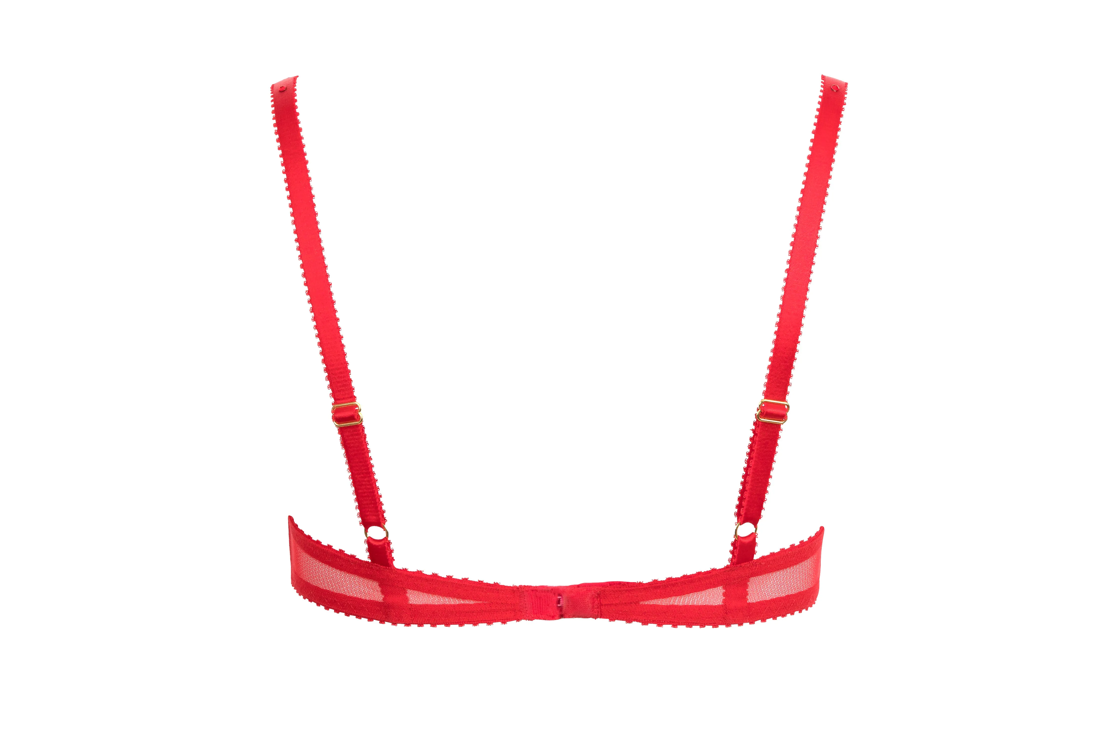 Pure Chemistry Bridal Rani Plunge Bra -PRE ORDER –