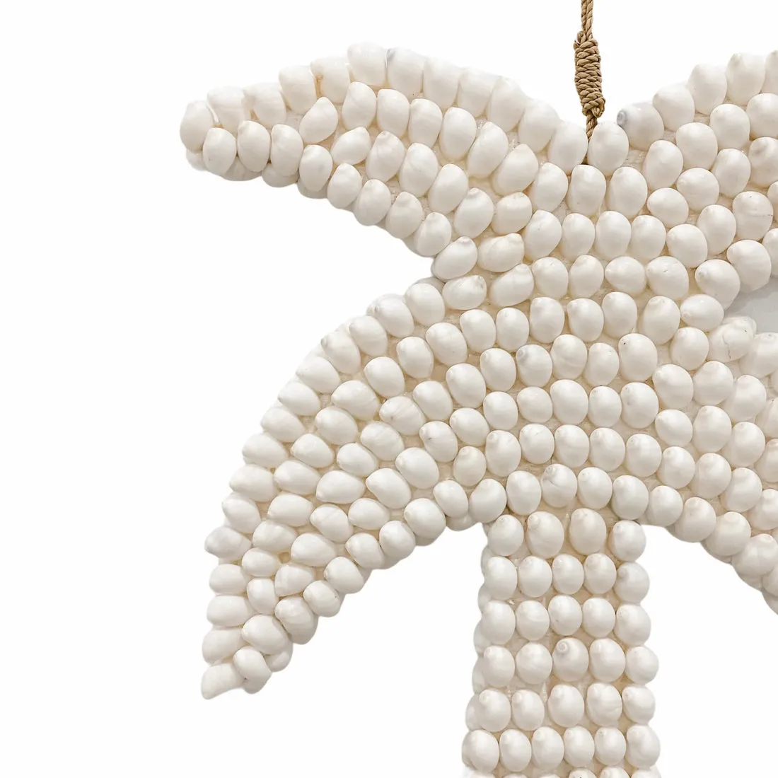 Pure Palm Wall Hanging - White Shell