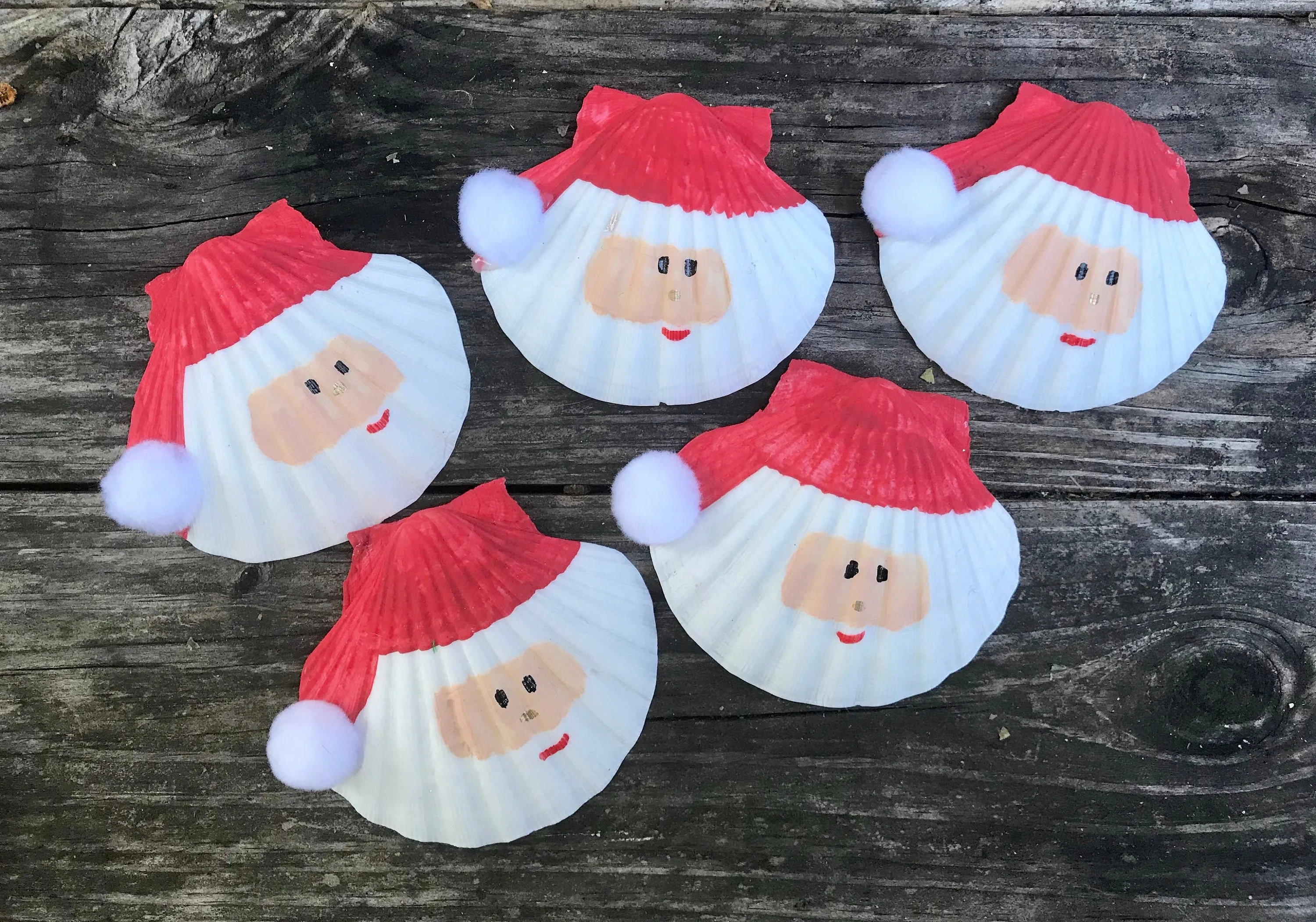 Santa Sea Shell, Starfish Sea Shells, Christmas at the Beach, Coastal Christmas, Santa Claus Seashells