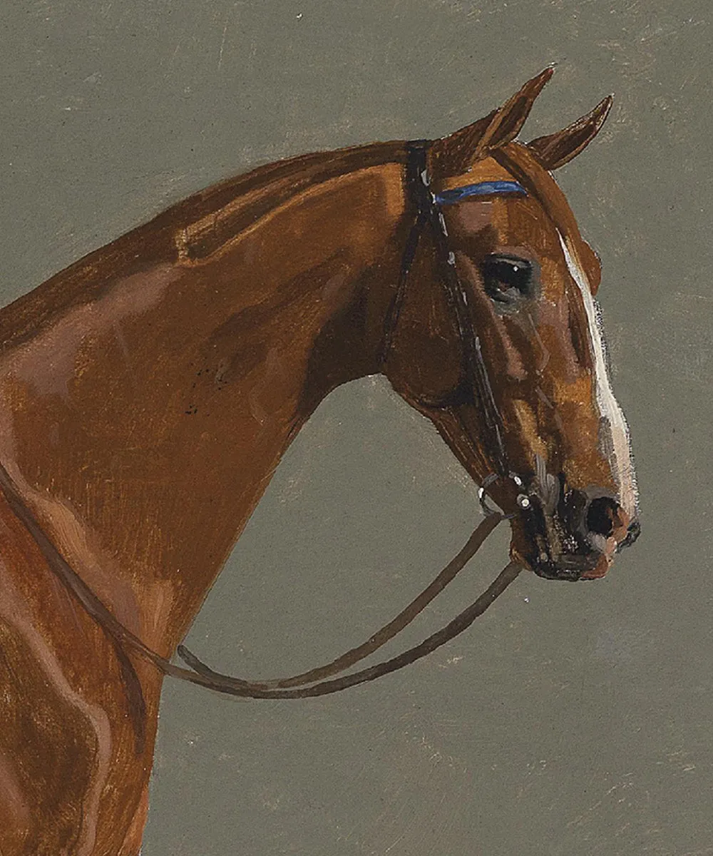 Set of Two Horse Portraits | Collection I