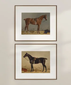 Set of Two Horse Portraits | Collection I