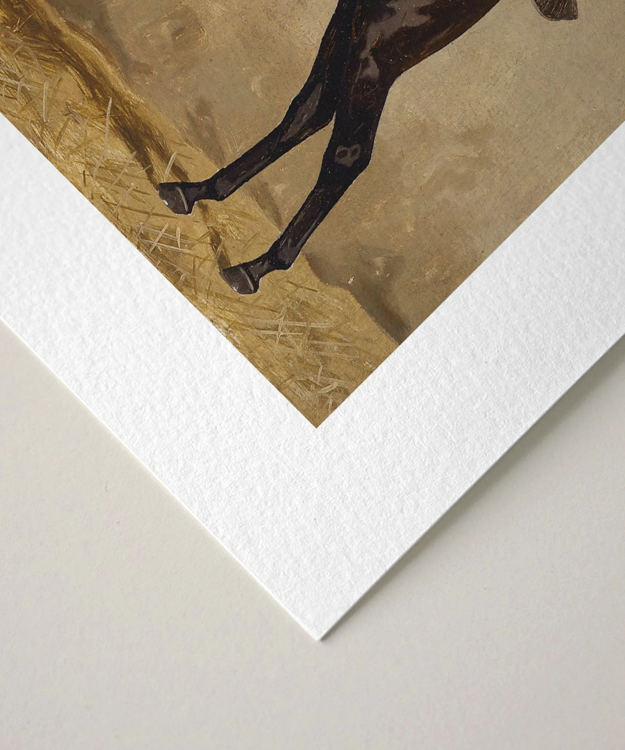 Set of Two Horse Portraits | Collection I