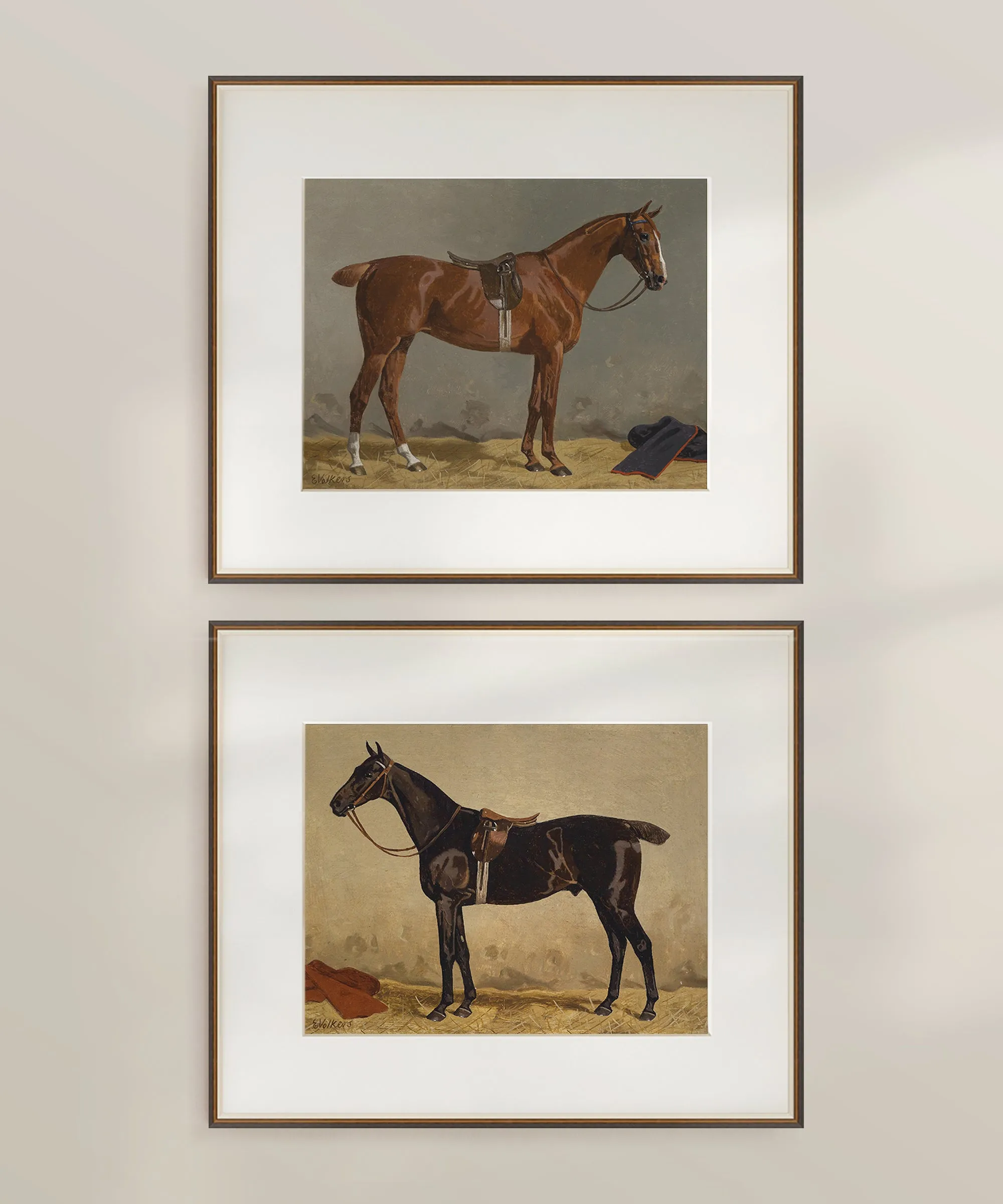 Set of Two Horse Portraits | Collection I