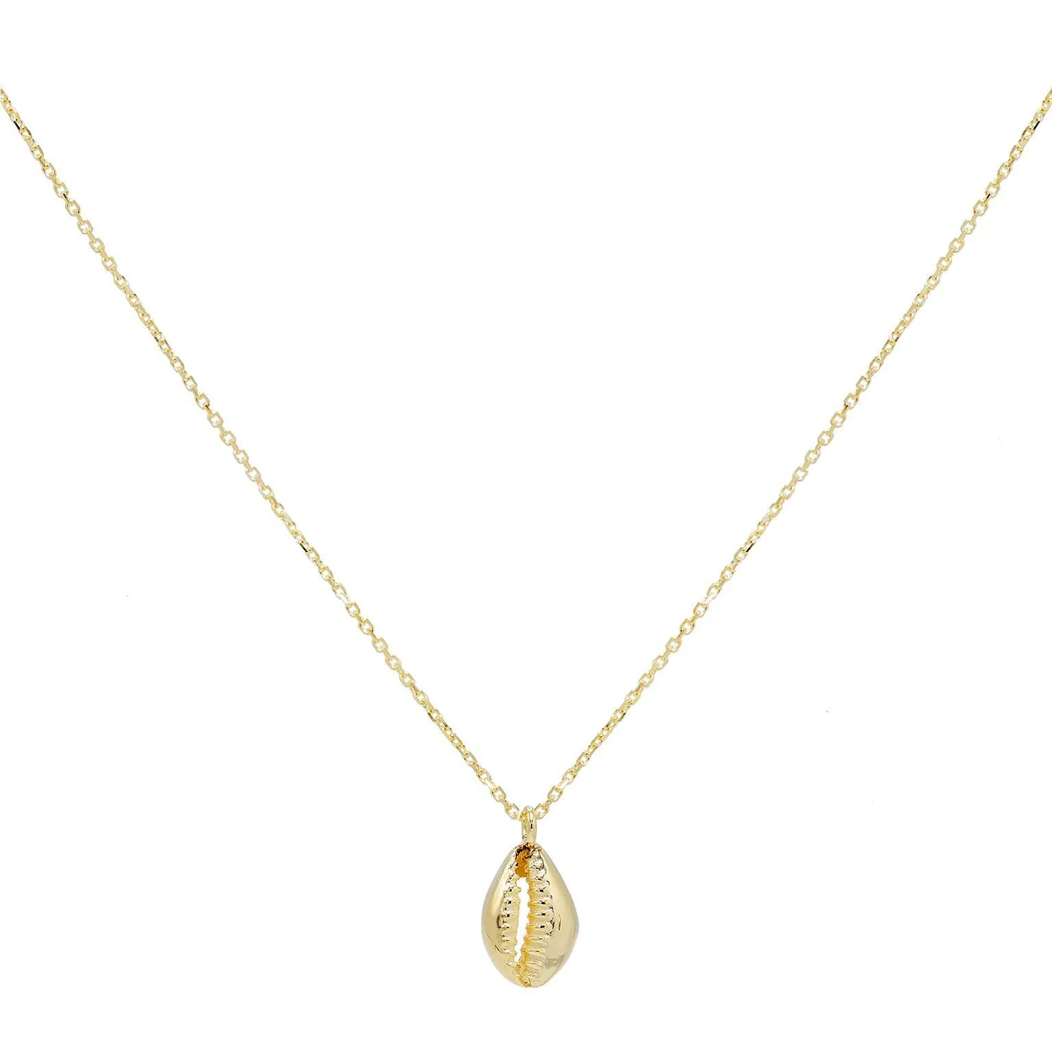 Shell Necklace 14K