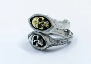 Shroud Ring