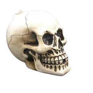 Skull Backflow Incense Burner