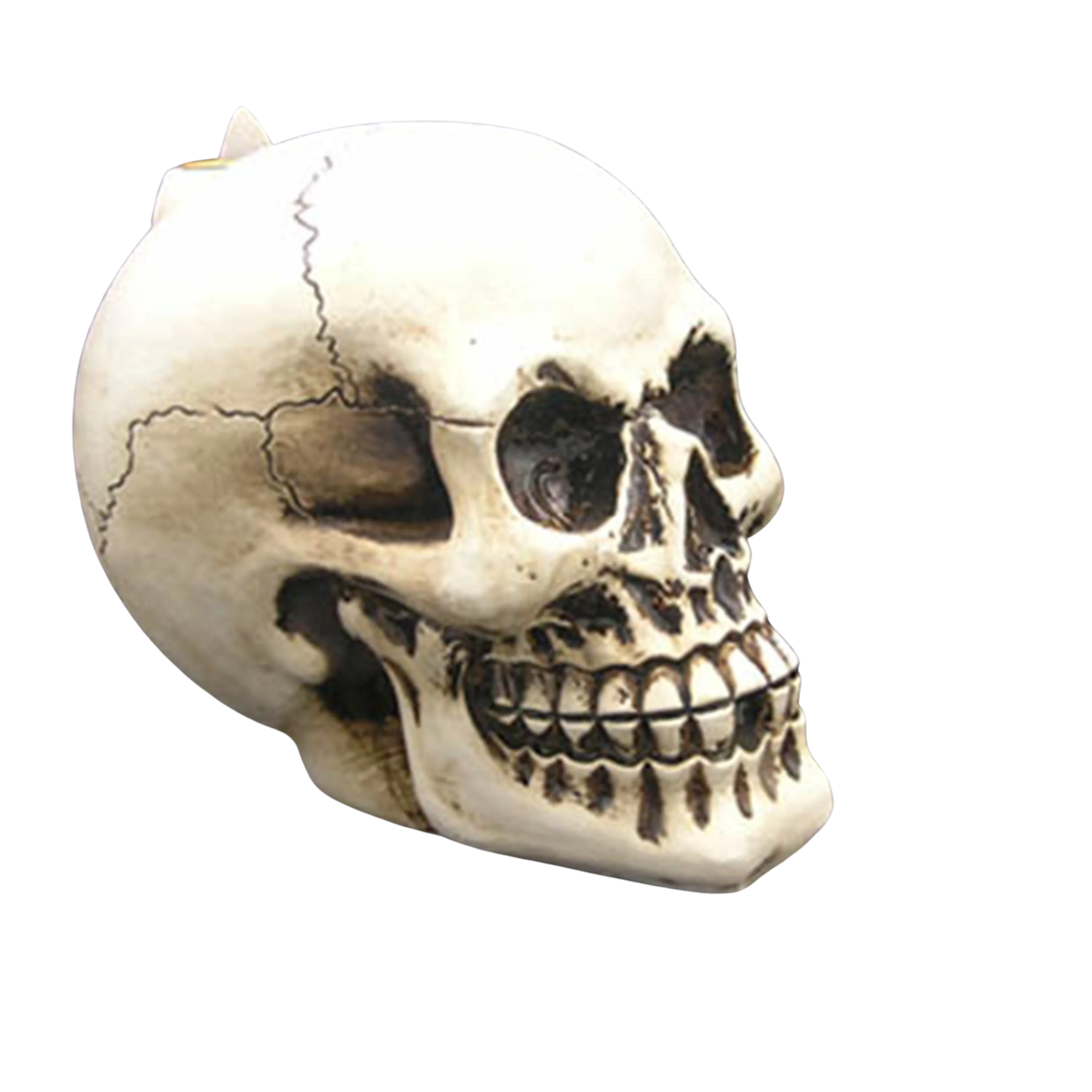 Skull Backflow Incense Burner