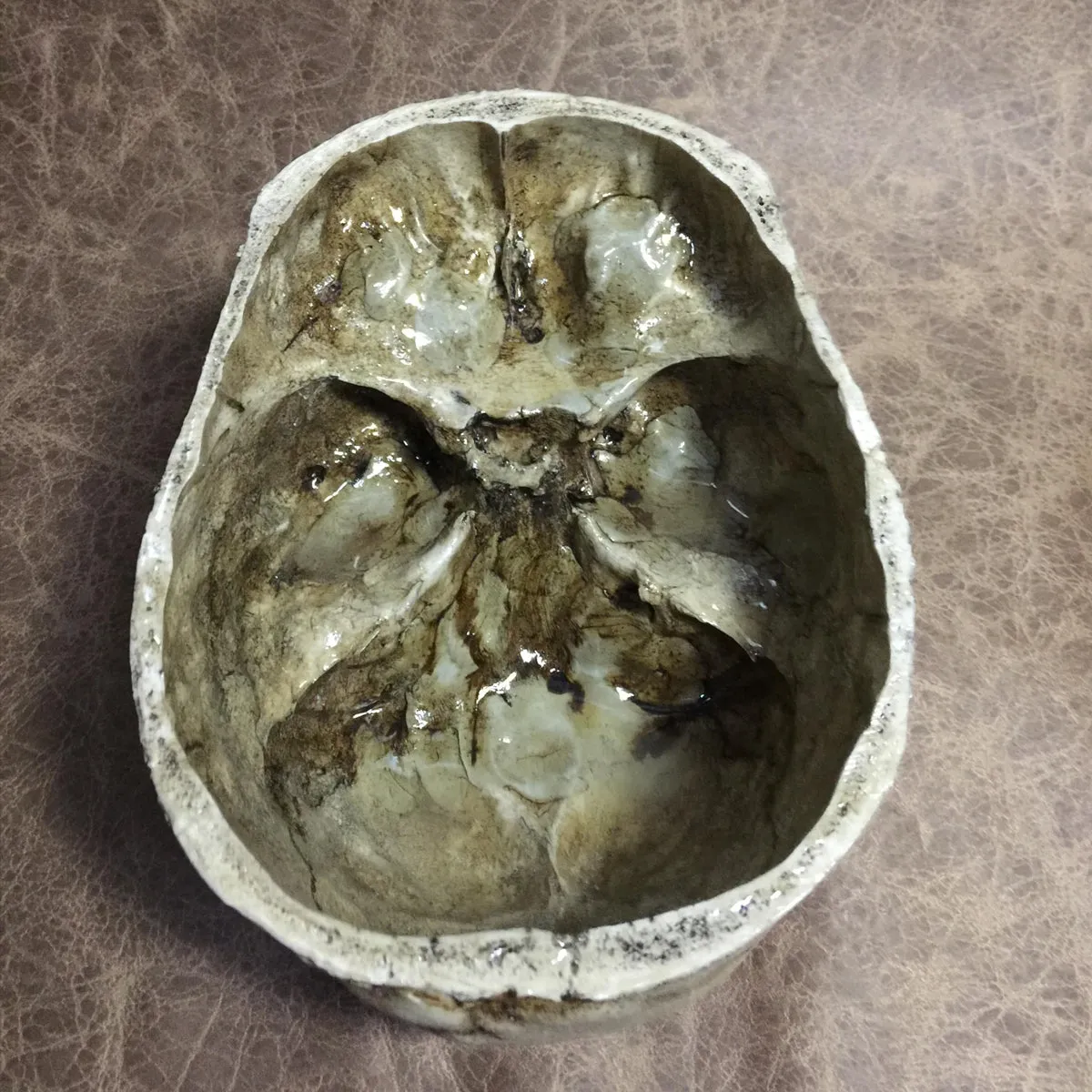 Skull of Thine Enemy Bowl