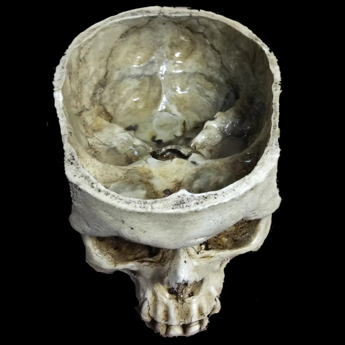 Skull of Thine Enemy Bowl
