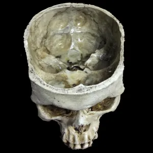 Skull of Thine Enemy Bowl