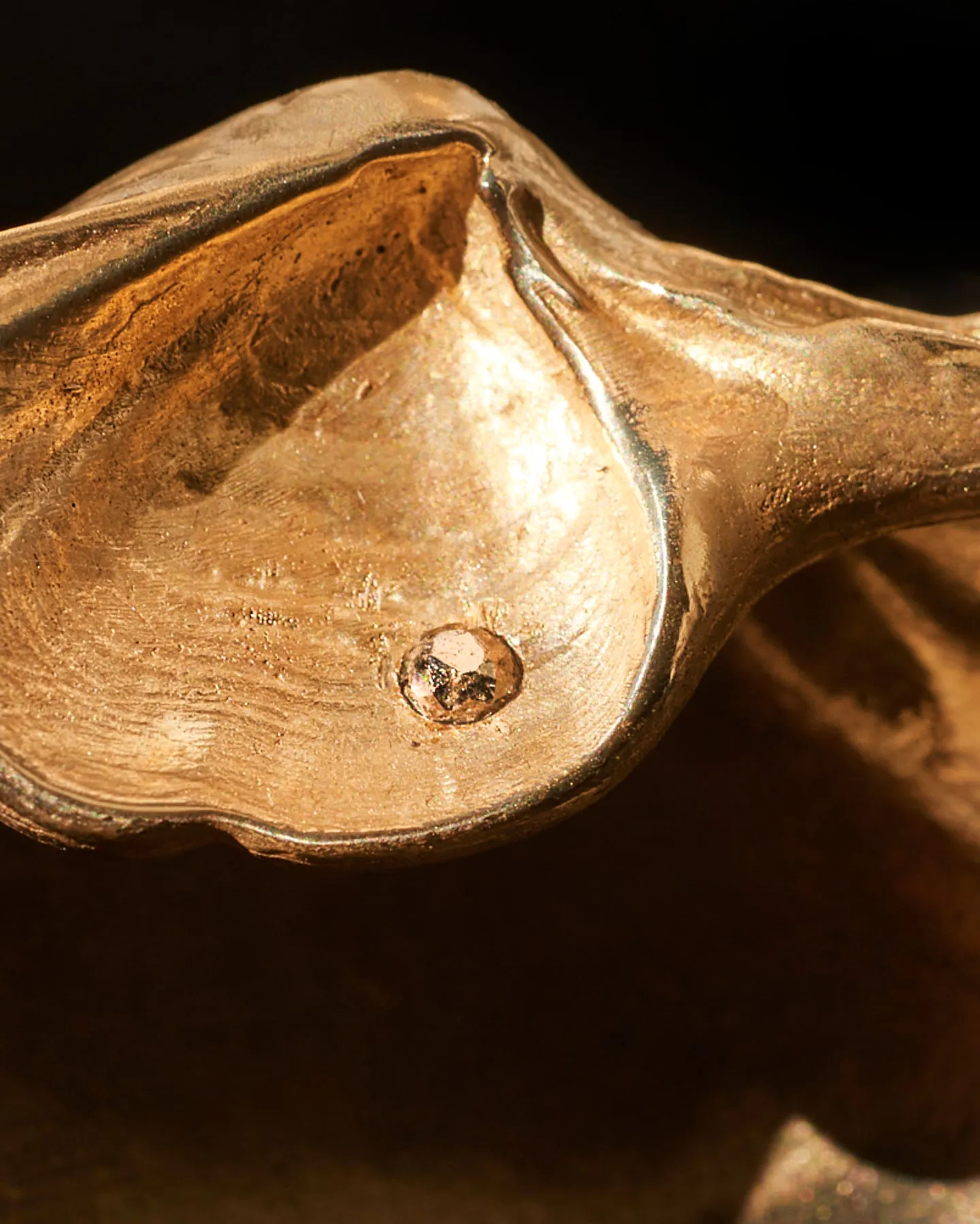 Small Golden Shell White Diamond