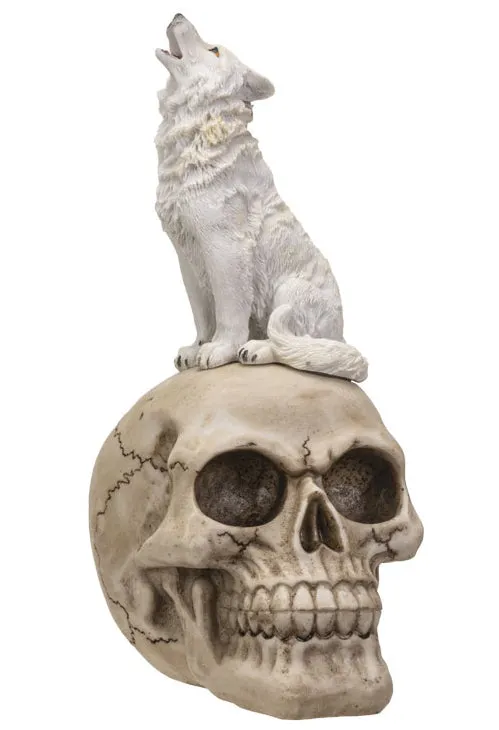 White Wolf on Skull